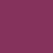 Purple Potion Pantone 19-2430