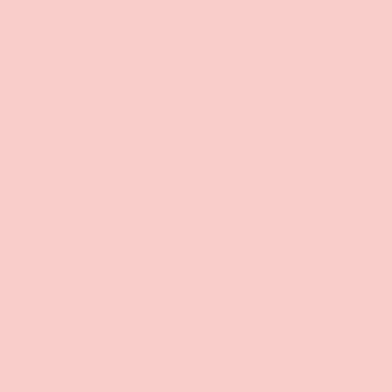 VEILED ROSE PANTONE 12-1212TPX